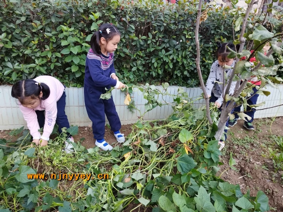 附件：4.jpg
