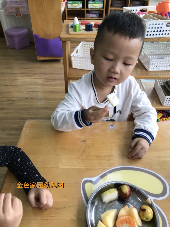 附件：IMG_1482.JPG