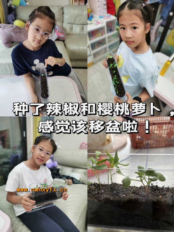 附件：6b68119beab7ea59b7190ddd194a7c9c.jpg