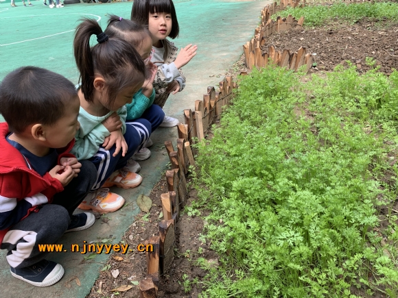 附件：IMG_1731.JPG