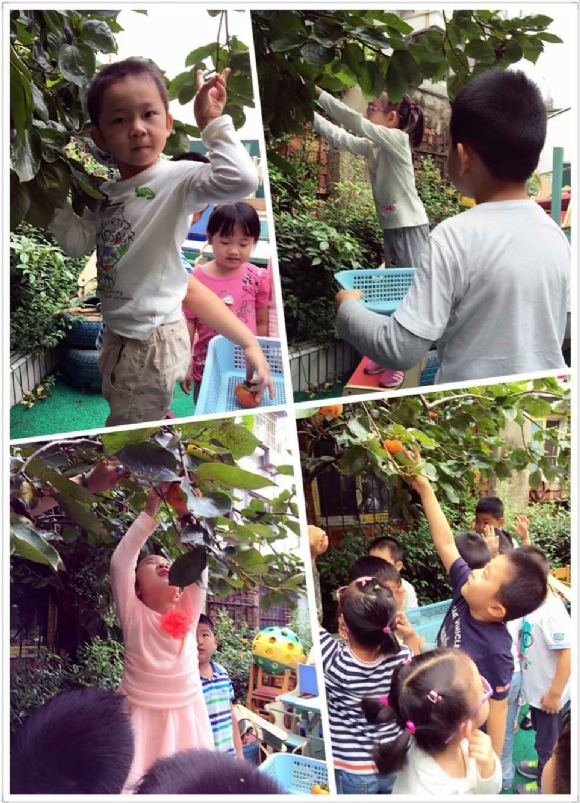 附件:QQ鍥剧墖20150930164933.jpg 附件:QQ鍥剧墖20150930164933.jpg