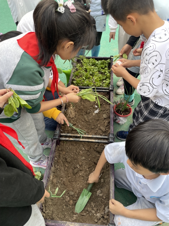 附件：IMG_8376.JPG