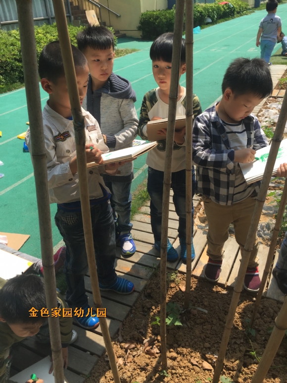 附件：IMG_6769.JPG