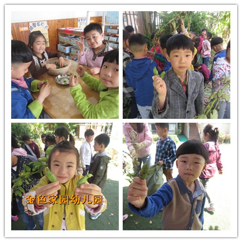 附件：initpintu_鍓湰5.jpg