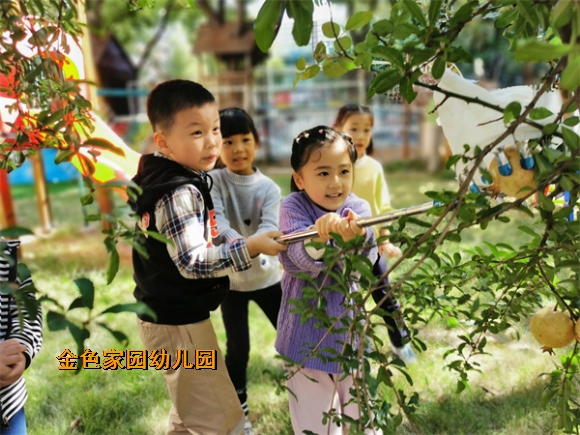 附件：IMG_5246(20221013-113520).jpg