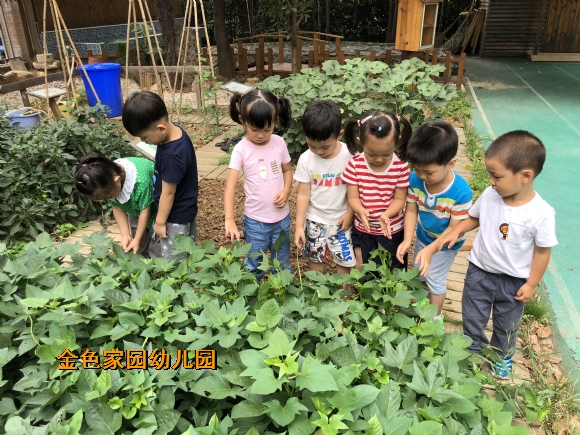 附件：IMG_0277.JPG