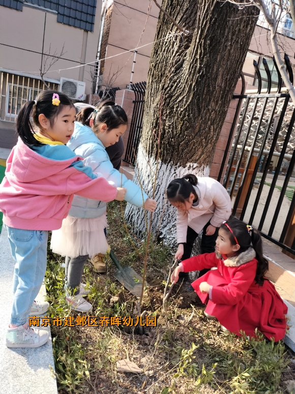 附件：IMG20220309155442.jpg
