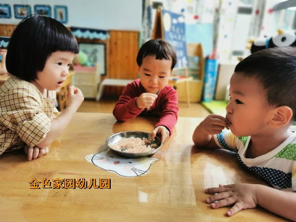 附件：IMG_20190927_094226_1.jpg
