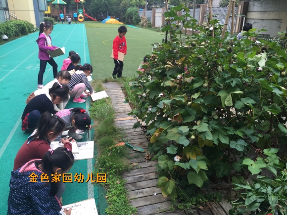附件：IMG_2983.JPG