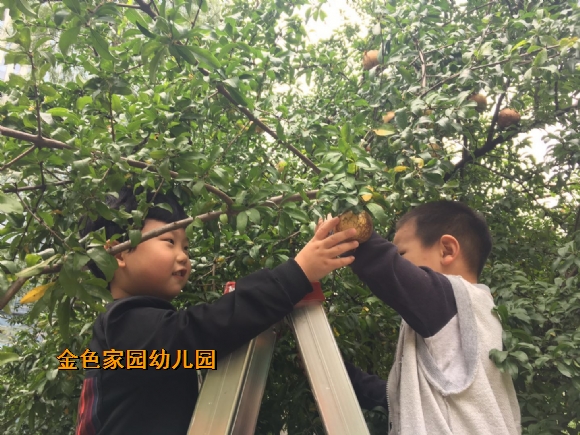 附件：855161483553533179.jpg