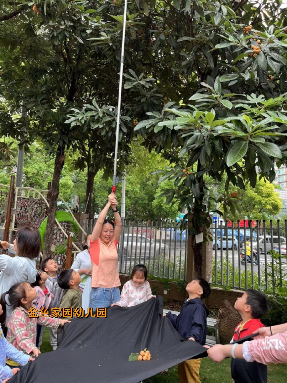 附件：微信图片_20220531123033.jpg