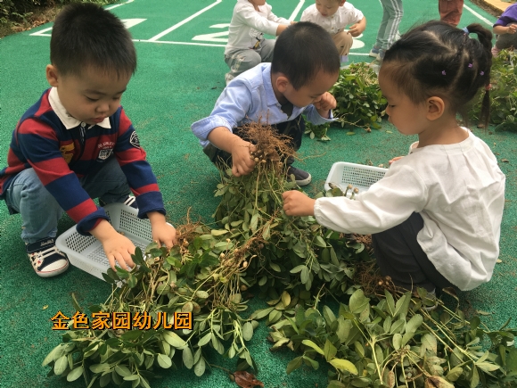 附件：IMG_7994.JPG
