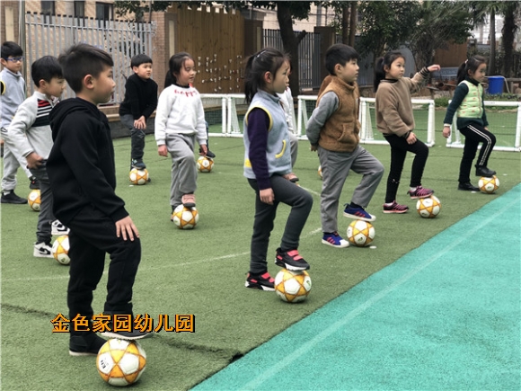 附件：IMG_4941.jpg