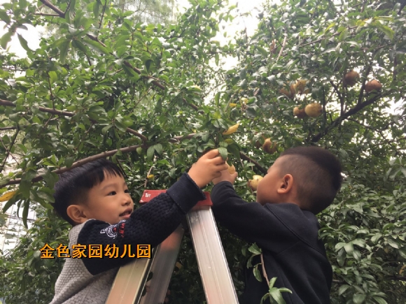 附件：354524801323023858.jpg