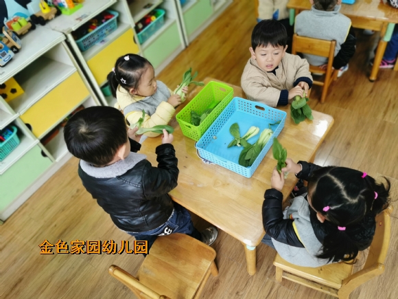 附件：IMG_20191118_093139.jpg