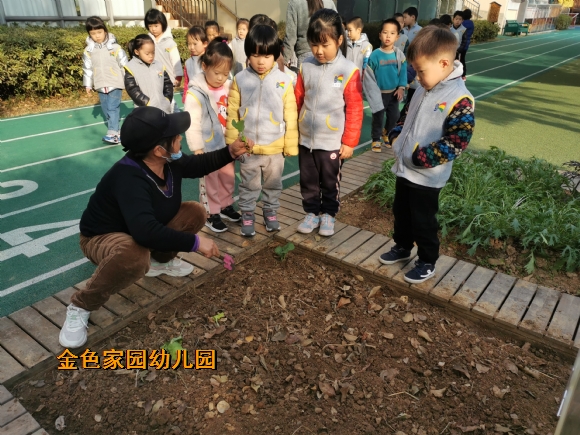 附件:IMG_20211129_144618.jpg 附件:IMG_20211129_144618.jpg