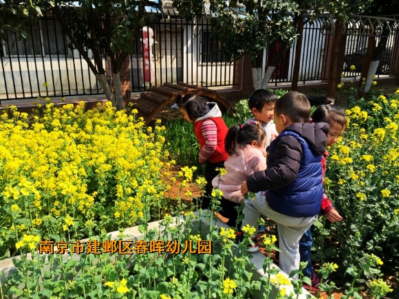 附件：conew_img_8514(1).jpg