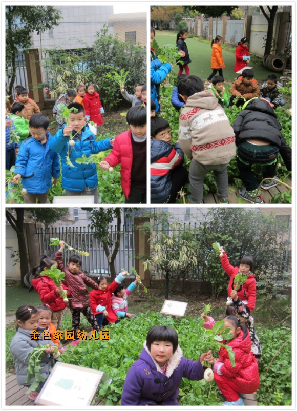 附件：2.jpg
