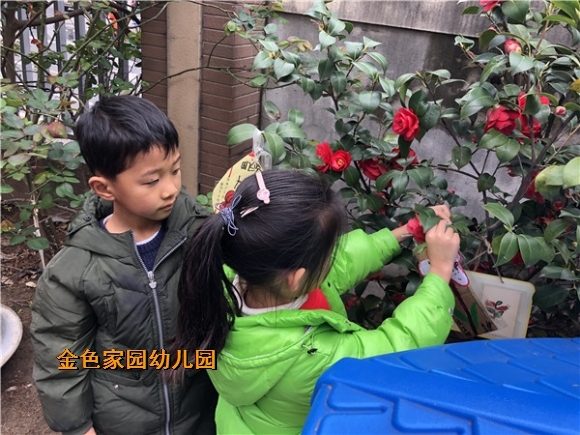 附件：mmexport1615527424447.jpg