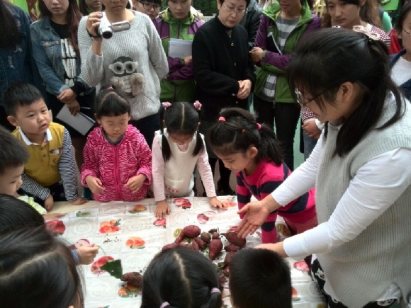 附件：4.jpg
