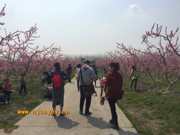 附件：conew_img_0603.jpg