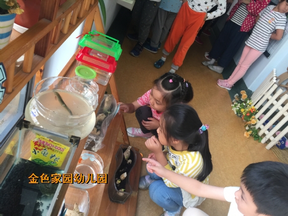 附件：IMG_0477.JPG