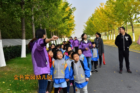 附件：DSC_6906.JPG