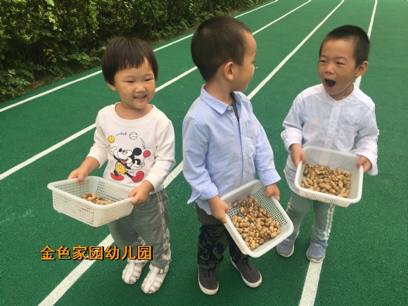 附件：IMG_8030.JPG
