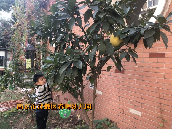 附件：conew_img_3018.jpg
