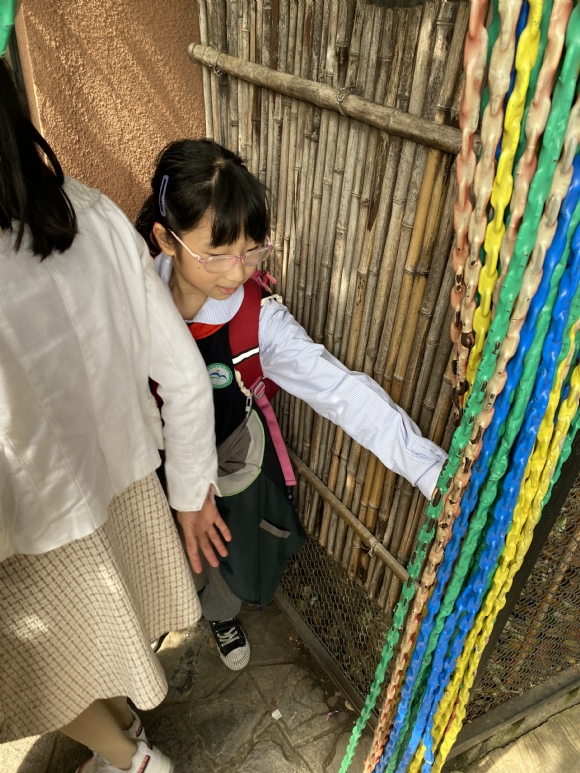 附件：IMG_4736.JPG