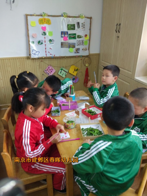 附件：QQ图片20180416111754.jpg