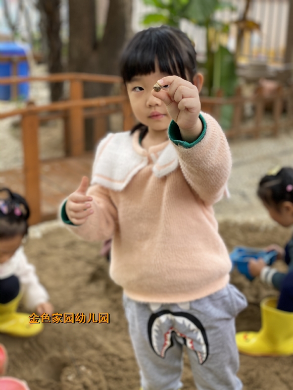 附件：IMG_4766.JPG