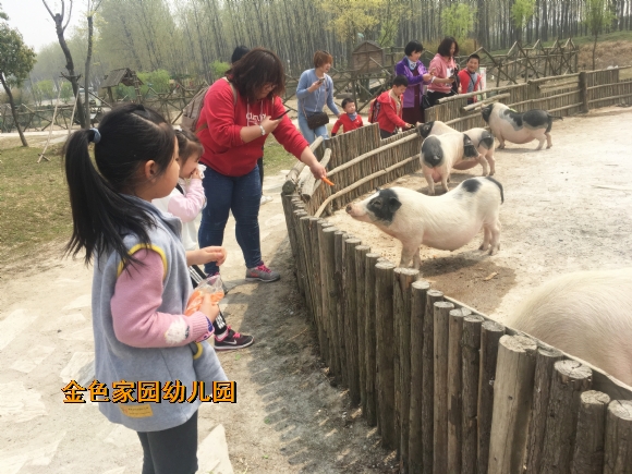 附件：IMG_6331.jpg