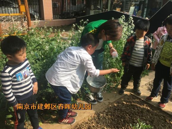 附件：IMG_2717.JPG
