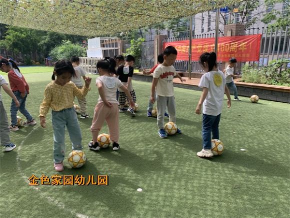 附件：IMG_7184.jpg