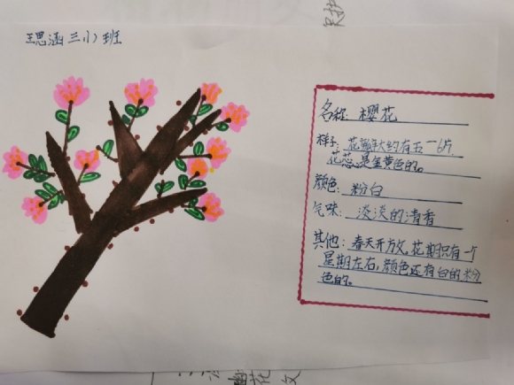 附件：QQ图片20210620072405.jpg