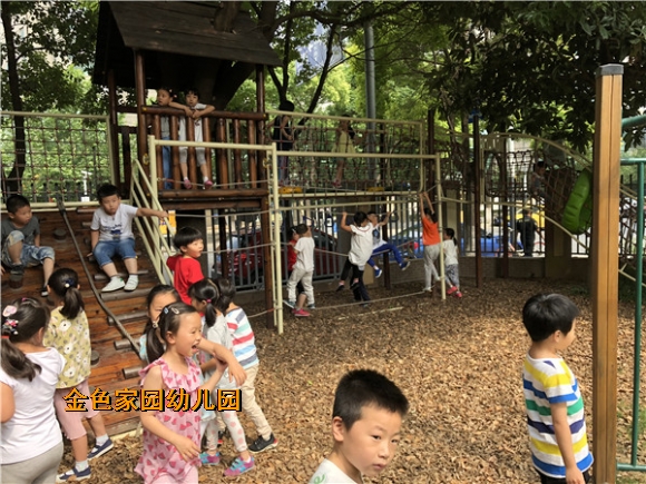 附件：IMG_3702.jpg