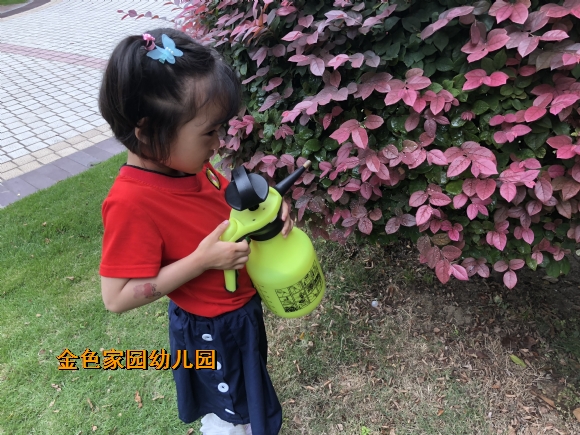 附件：IMG_6623.JPG
