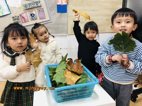 附件：小二班IMG_7931(20201104-000033).JPG