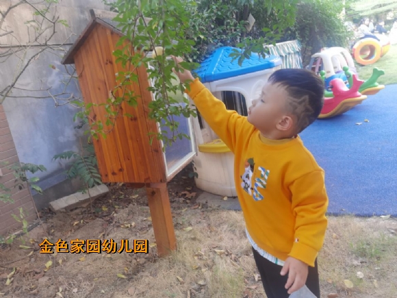 附件：D85C29ACDE59706605F066C098C66A97.jpg
