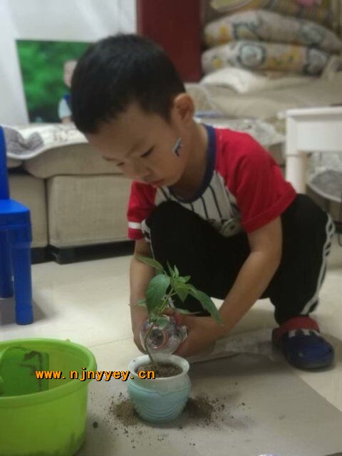 附件：QQ鍥剧墖20181008230041.jpg