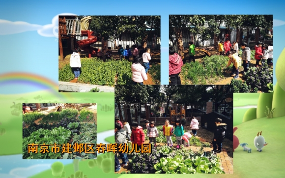 附件：IMG_20180305_150441_conew13.jpg