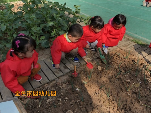附件：IMG_0507.JPG