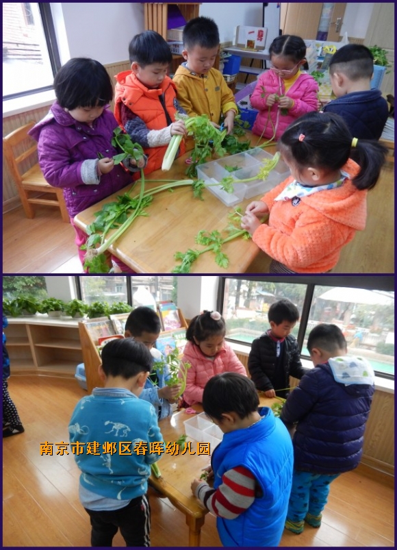 附件：1.jpg