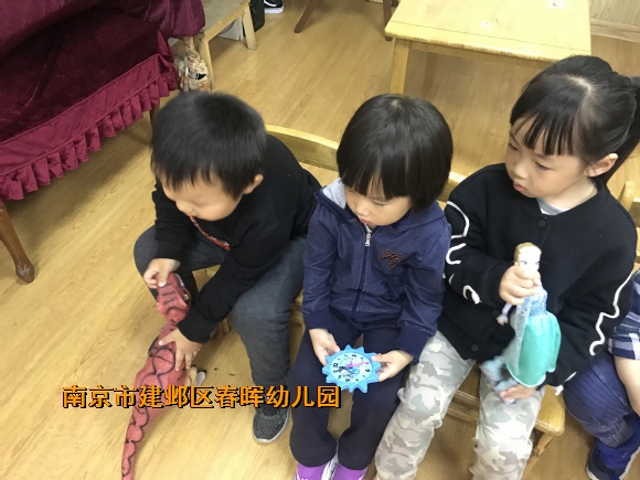 附件：IMG_1983.JPG