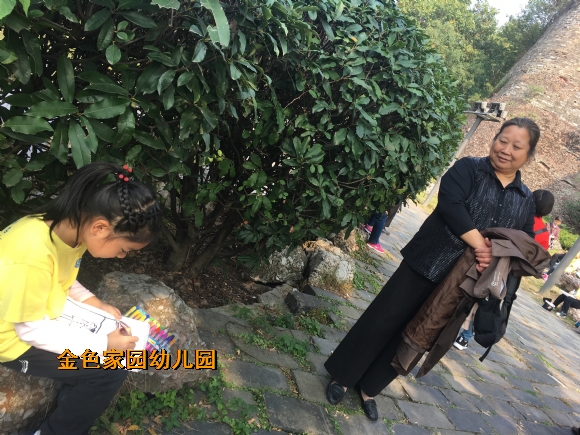 附件：IMG_2701.JPG