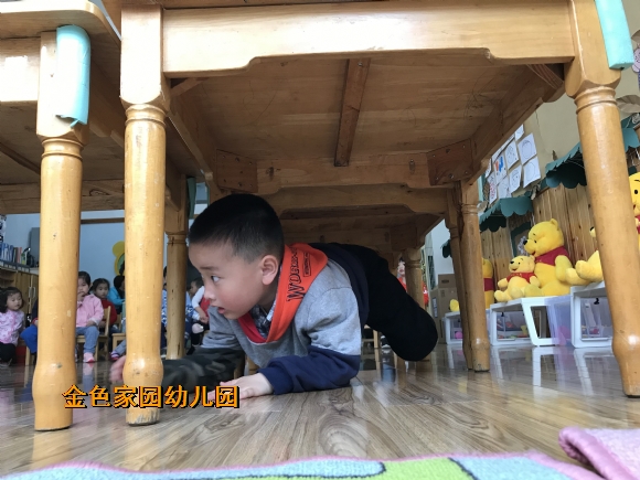 附件：IMG_8364.JPG