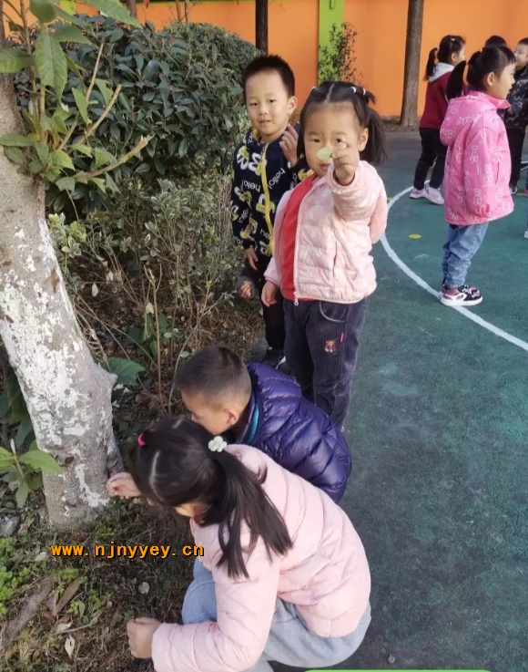 附件：Screenshot_20211229_094448.jpg.jpg