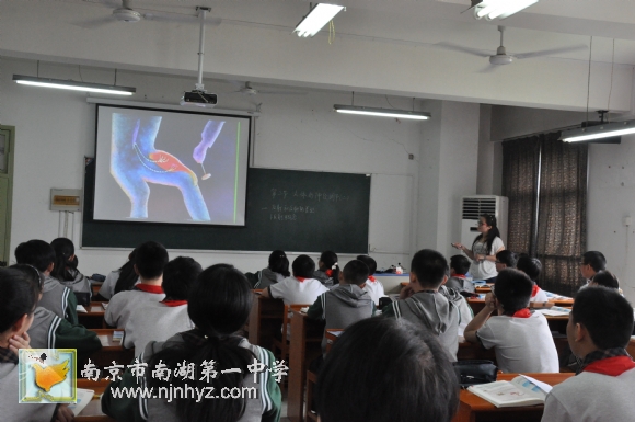 附件：DSC_0855.jpg