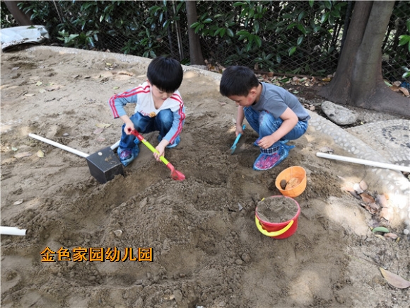 附件：IMG_20190528_094931_鍓湰.jpg
